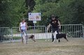 IMG_0244