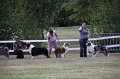 IMG_0246