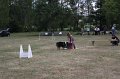 IMG_0258