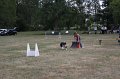 IMG_0260