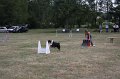 IMG_0262