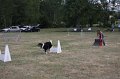IMG_0263