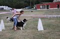 IMG_0267