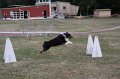 IMG_0270