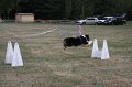 IMG_0272