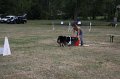 IMG_0275