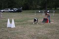 IMG_0278