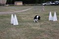 IMG_0282