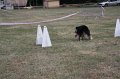IMG_0284