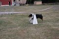 IMG_0286