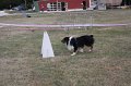 IMG_0288