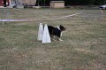 IMG_0295