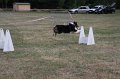 IMG_0296