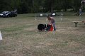 IMG_0299