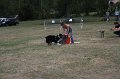 IMG_0300
