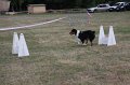 IMG_0304