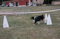 IMG_0306