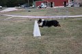 IMG_0307
