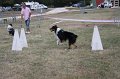 IMG_0308