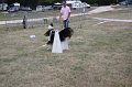 IMG_0309
