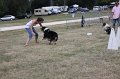 IMG_0311