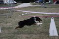 IMG_0313