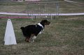 IMG_0314