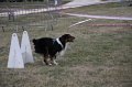 IMG_0323