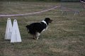 IMG_0326