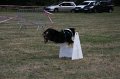 IMG_0327