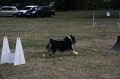 IMG_0328