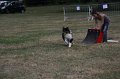 IMG_0332