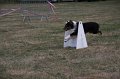 IMG_0333