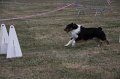IMG_0334