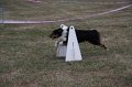 IMG_0335