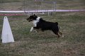 IMG_0336