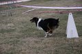 IMG_0337