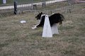 IMG_0338