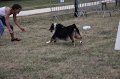 IMG_0339