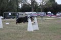 IMG_0341