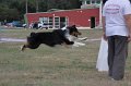 IMG_0344