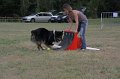 IMG_0348