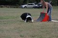 IMG_0349