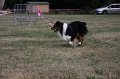 IMG_0350