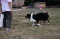 IMG_0351