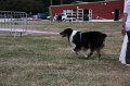 IMG_0353