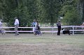 IMG_0363