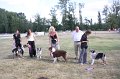 IMG_0406