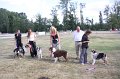 IMG_0407