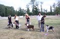 IMG_0408